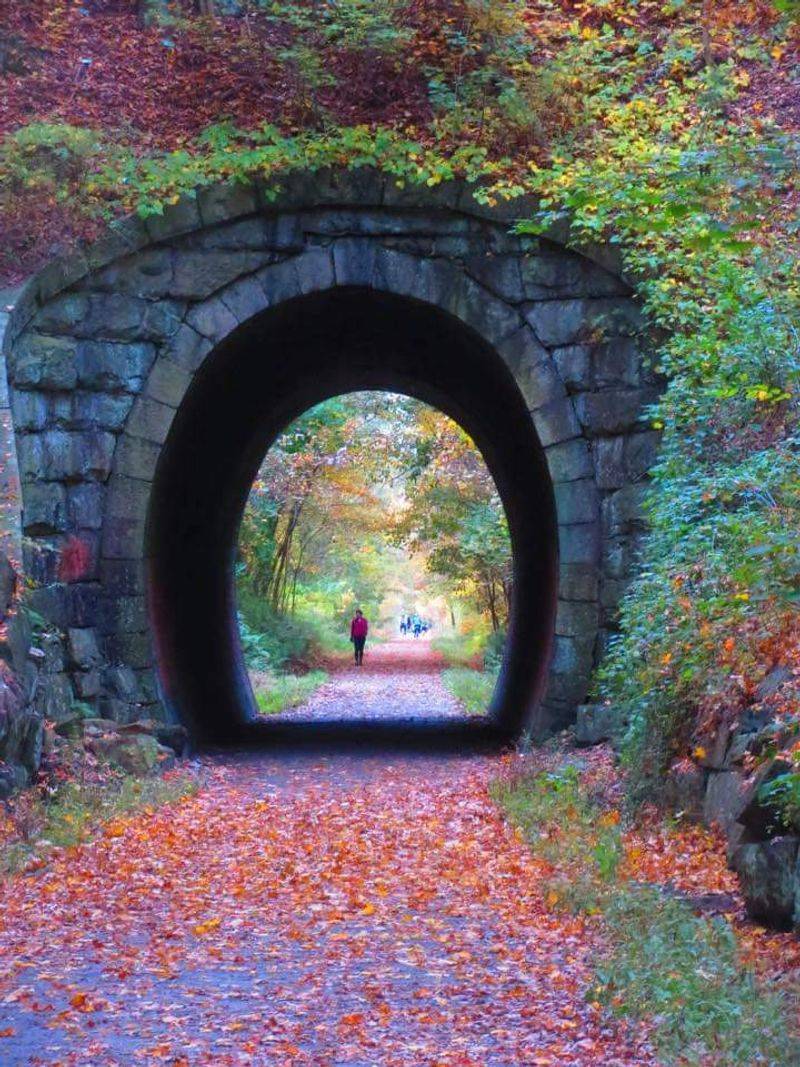Holliston