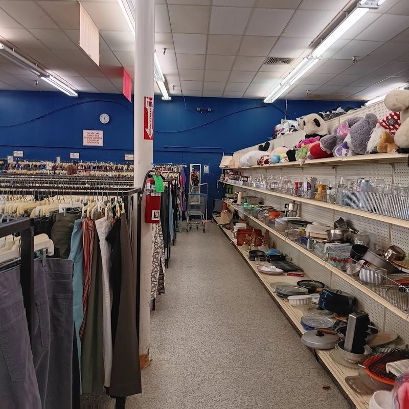 Half Price Thursdays Turn A Small Budget Into A Serious Shopping Spree
