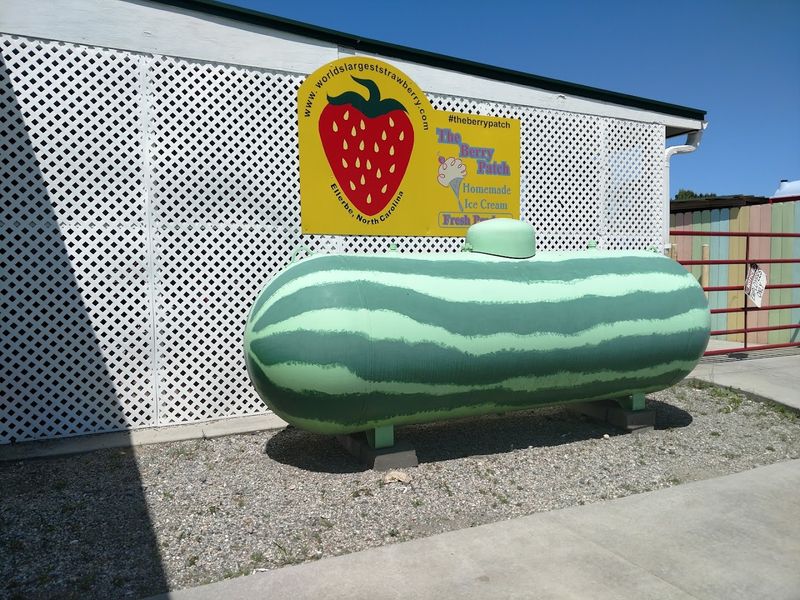 Tips For Enjoying A Comfortable Farm Visit