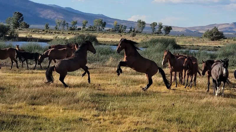 Why This Quiet Corner Of Nevada Deserves More Credit