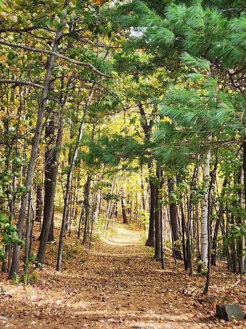 Seasons Of Reflection And Engagement