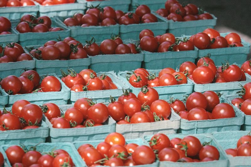 Seasons Change, Market Stays