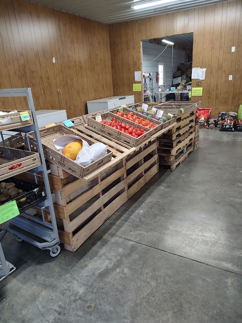 Exploring Seasonal Promotions Benefits
