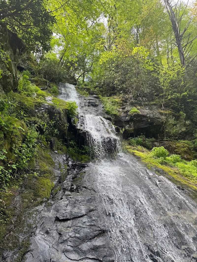 Hen Wallow Falls Parking Trailhead
