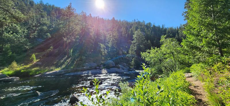 Essential Gear For Successful Trout Angling