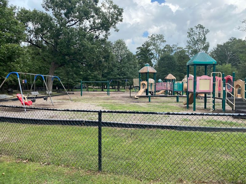 Family Friendly Activities In Open Parks