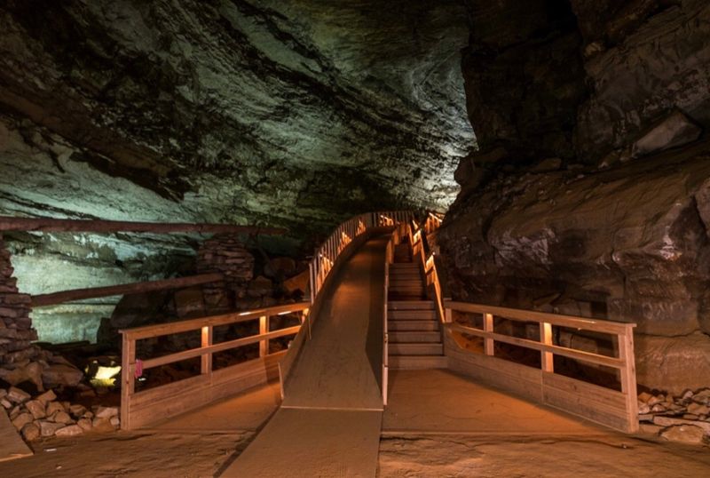 Educational Programs About Subterranean Ecosystems