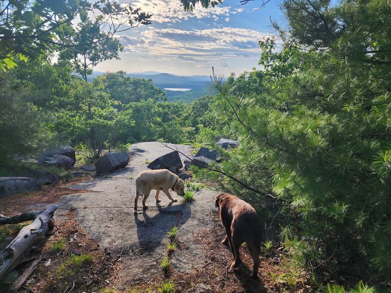 Newfield, ME