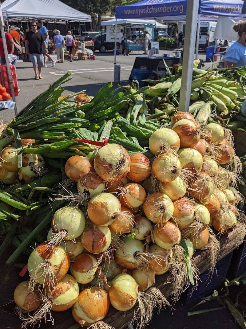 Nyack Farmers Market — Nyack, NY
