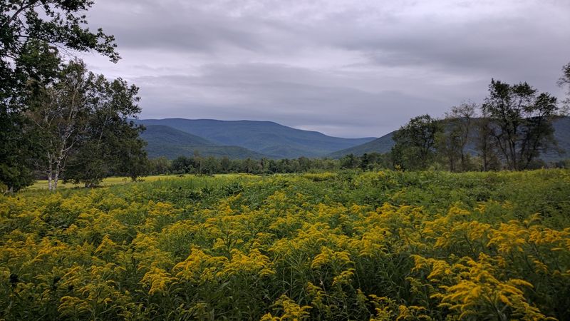 Field Farm Reservation, Williamstown