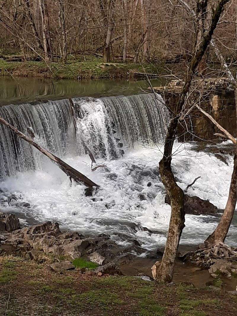 Rogersville