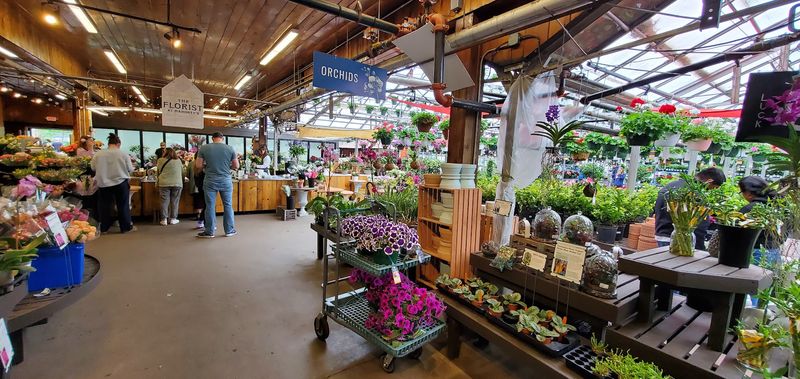 Seasonal Savings For Every Garden Passion
