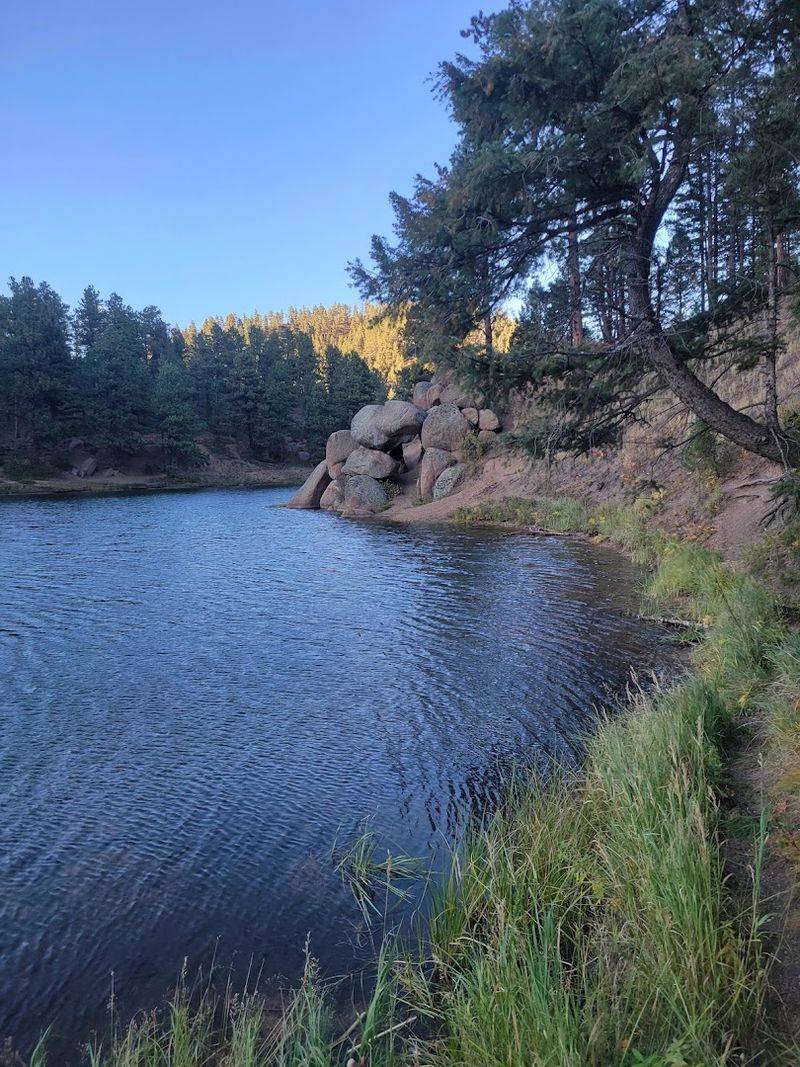 Woodland Park