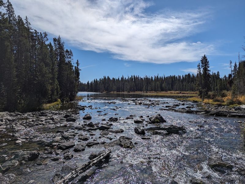 Surrounding Natural Flora And Fauna