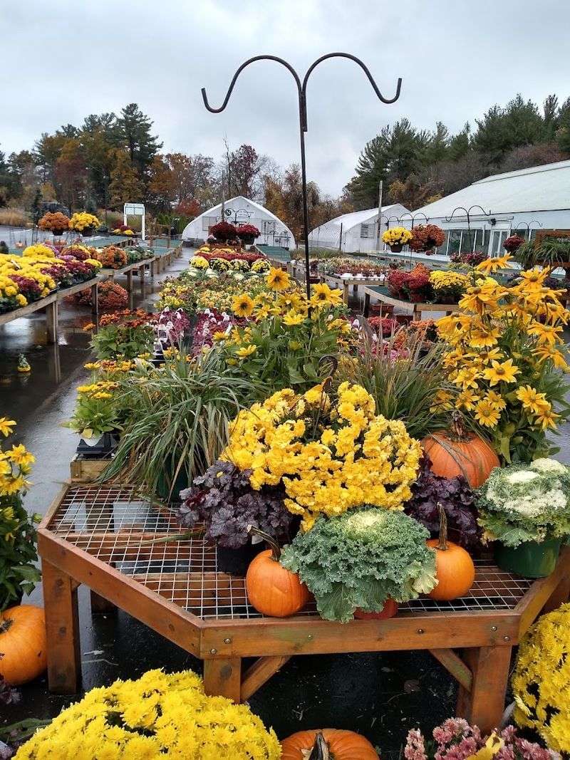 A Living Tapestry Of Seasonal Spectacles