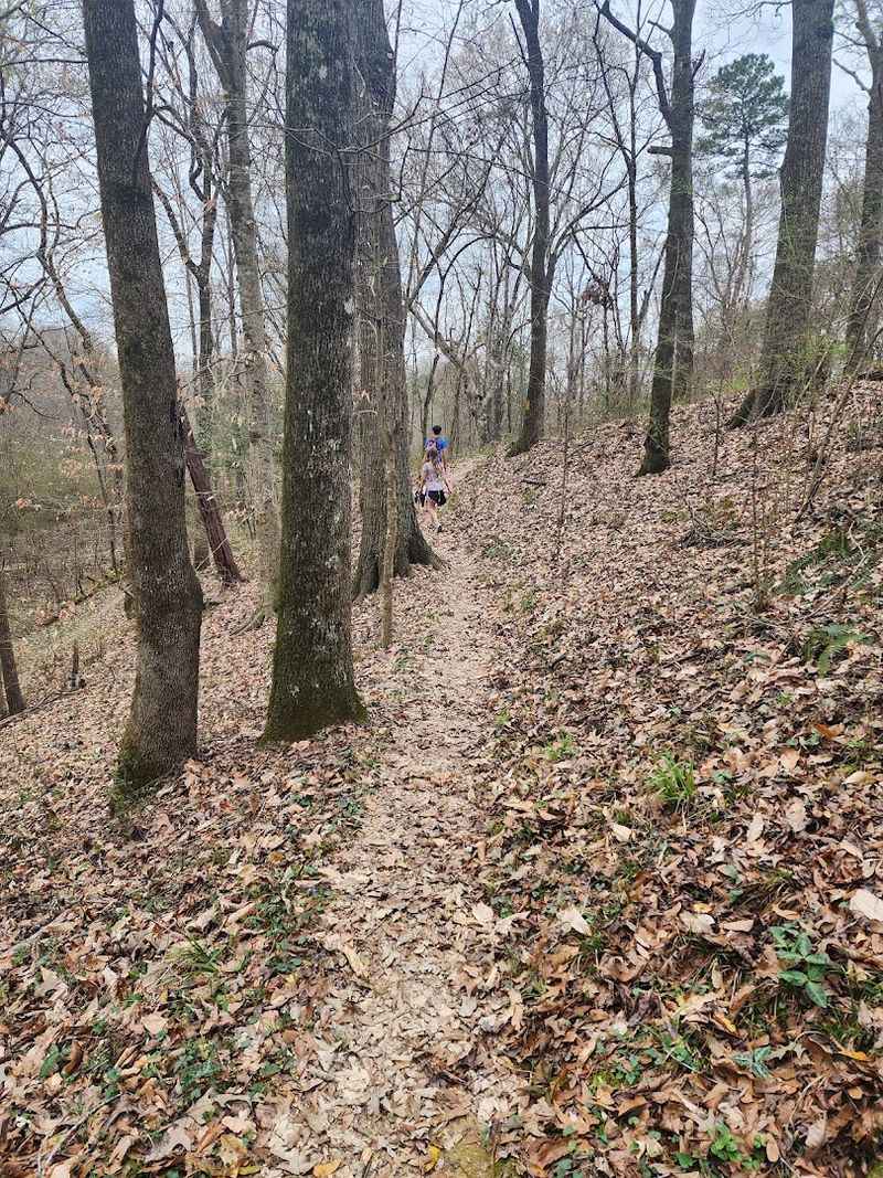 Outdoor Recreational Activities