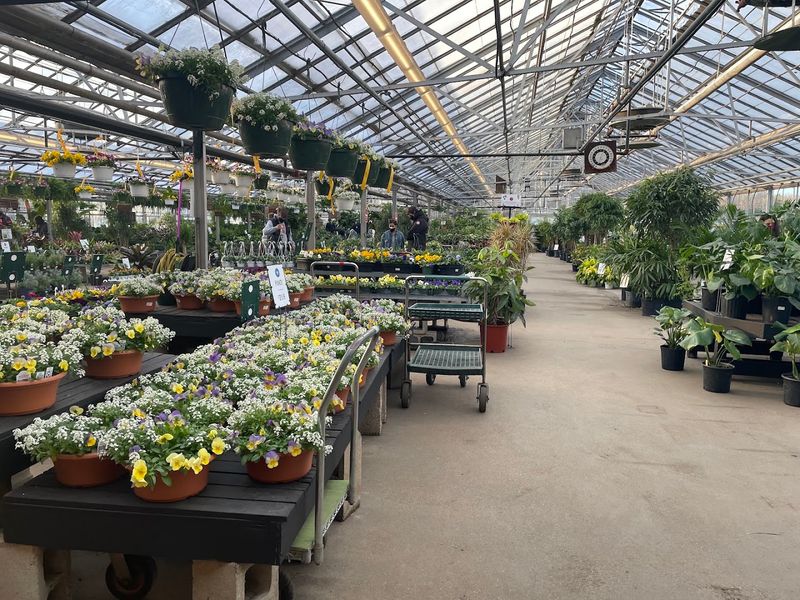 A Walk Among Diverse Botanical Wonders