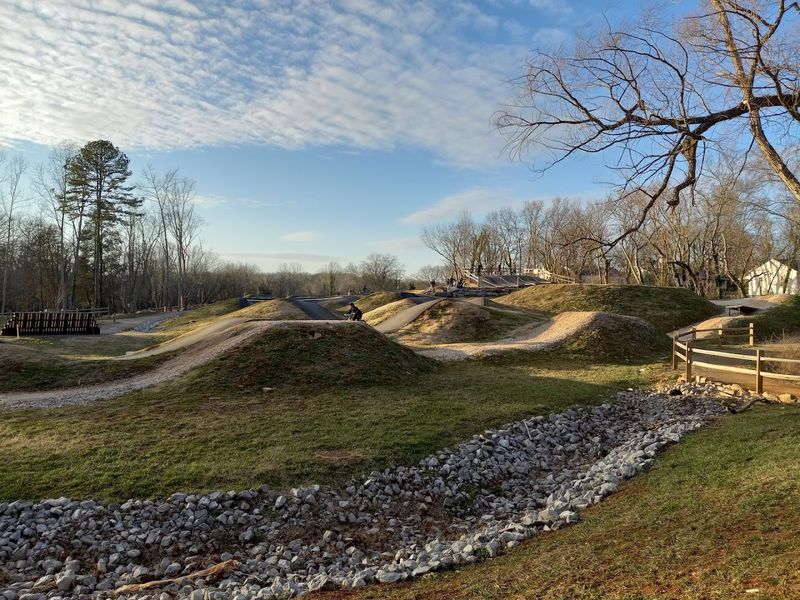 A Natural Sanctuary Flourishing Anew