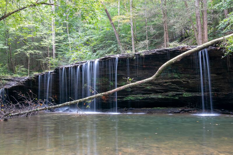 Princess Falls Trailhead, Stearns, KY