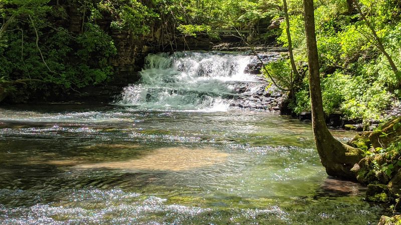 Machine Falls Loop, Short Springs State Natural Area