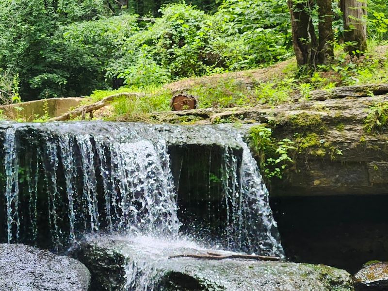 Fall Hollow Falls, Hohenwald