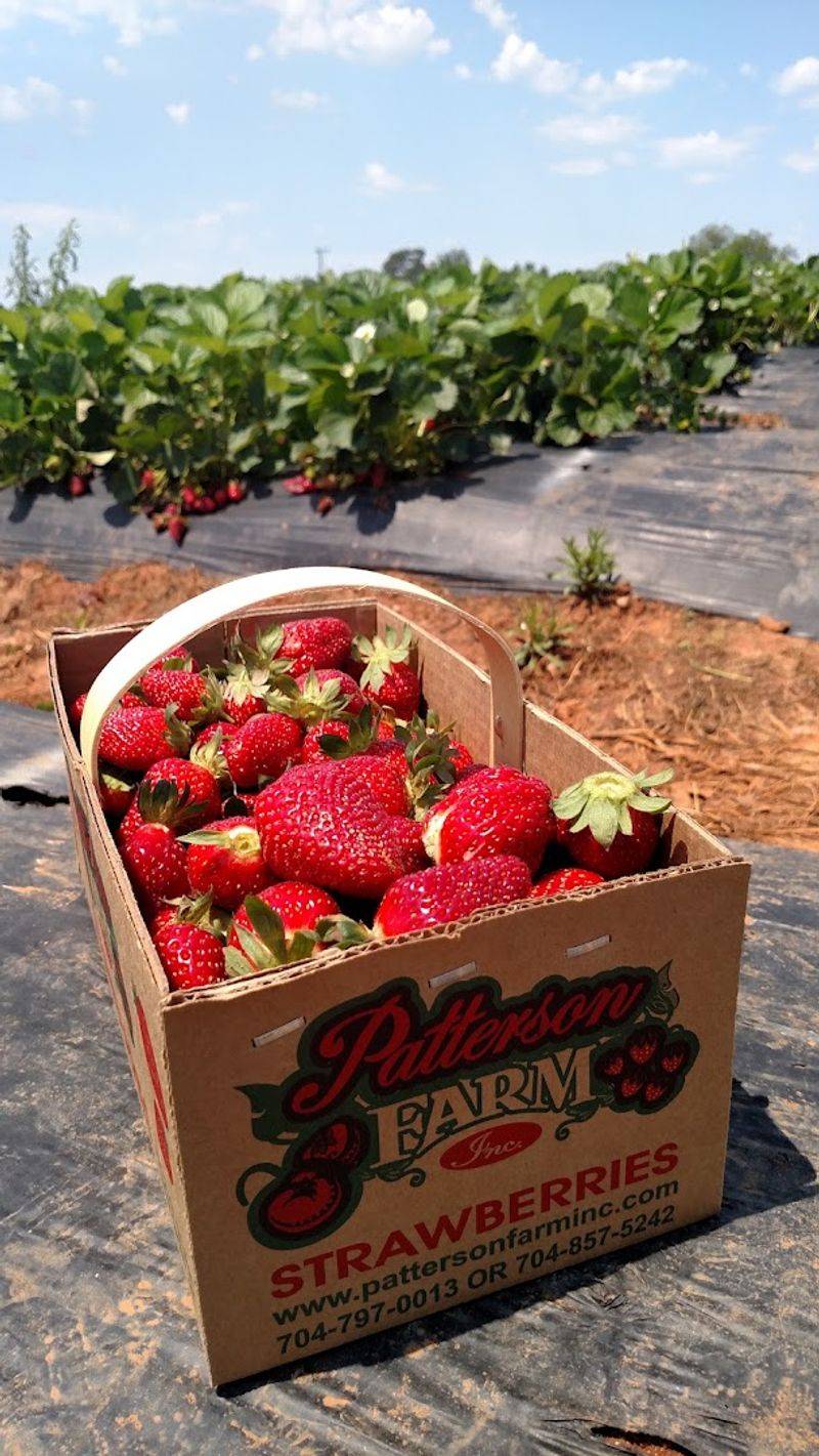 Patterson Farm, Mount Ulla, North Carolina