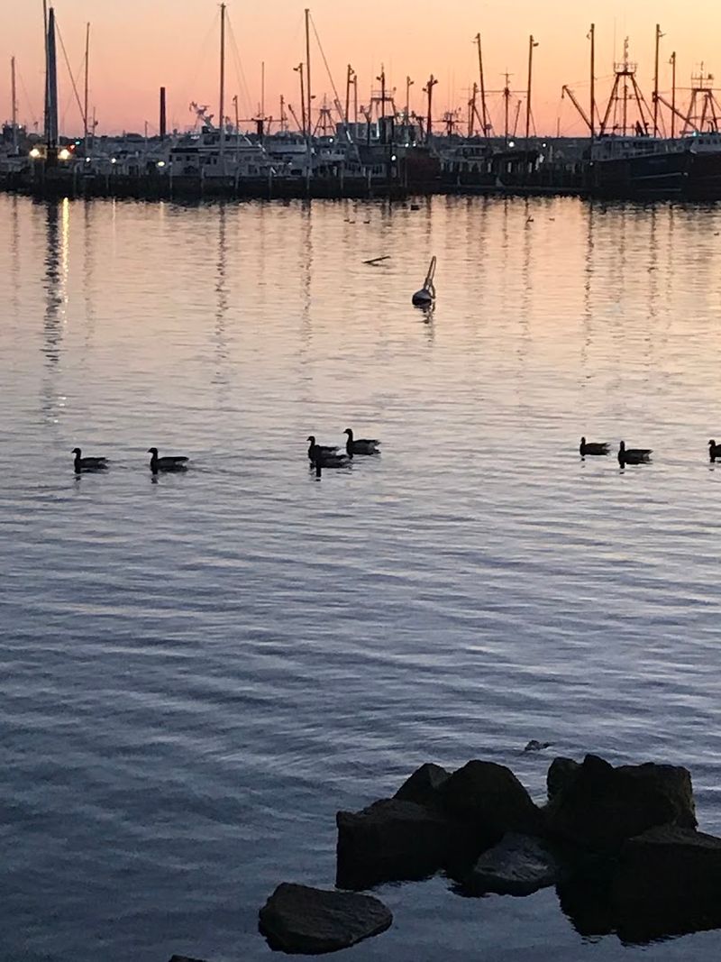 Fairhaven