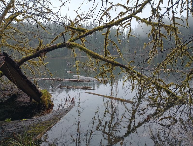 Seasonal Shifts And The Best Time To Visit