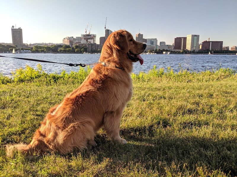 Charles River Esplanade - Boston, MA