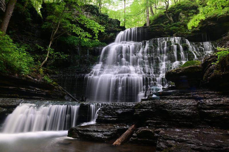 Short Springs Natural Area
