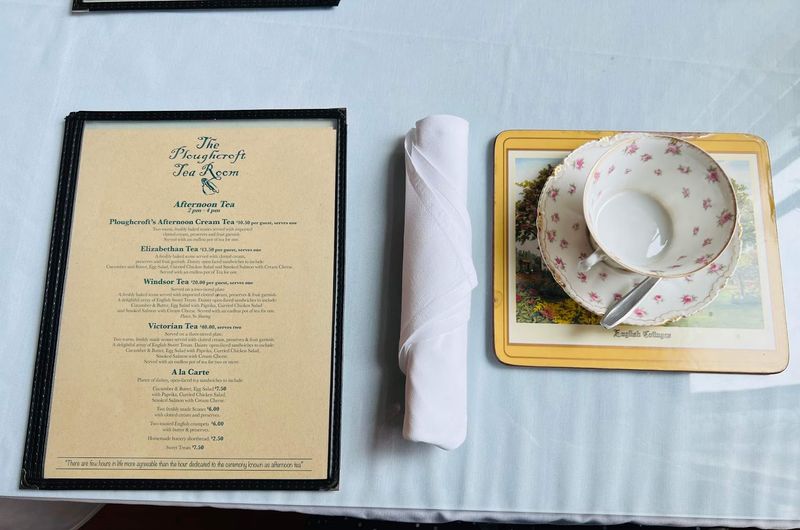 The Tea Selection And How To Approach It
