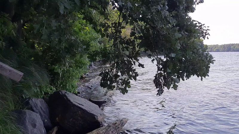 Lake Wissota State Park And Eder's Acres In Chippewa Falls