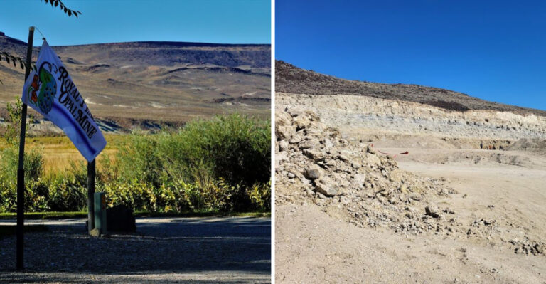 Dig For Your Own Opals And Keep Every Single One At This Nevada Mine