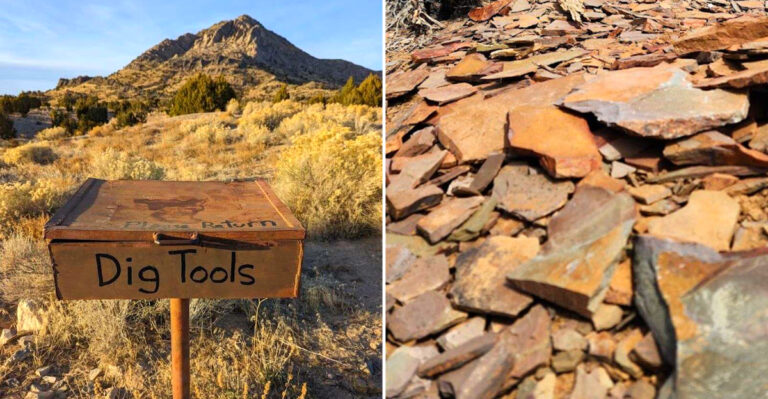 Dig Through Ancient Desert Seafloor Sediment And Keep The Trilobite Fossils You Find At This Nevada Site