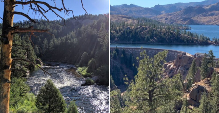 Discover The Colorado Trout Stream With Crystal Clear Waters And Unforgettable Mountain Scenery