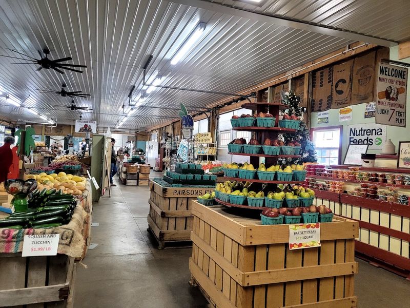 Seasonal Fruit Varieties Available Year Round