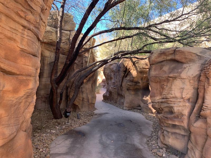 Springs Preserve