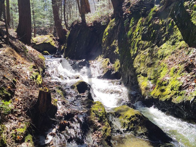 Tannery Falls, Savoy