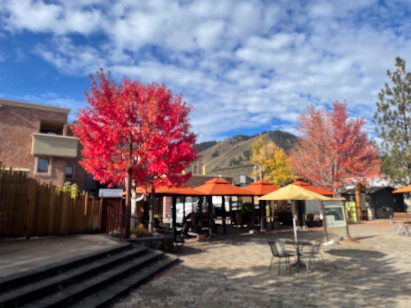 Ketchum