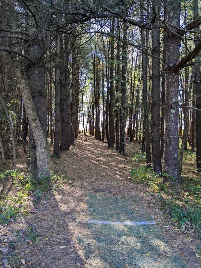 Eagle's Nest Disc Golf Course