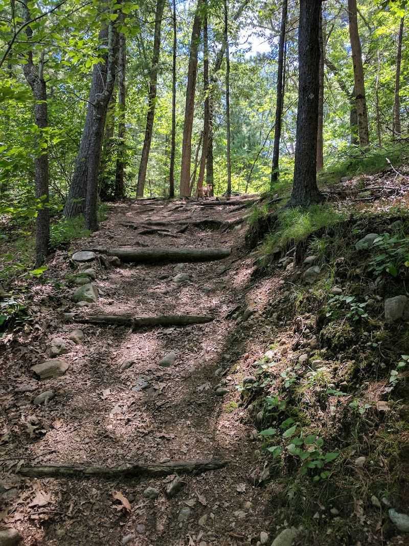 Frederick Law Olmsted's Enduring Legacy In Beverly