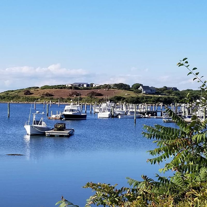 A Haven For Anglers And Marine Abundance