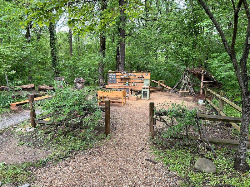 Cultivating Beauty Through Native Plantings