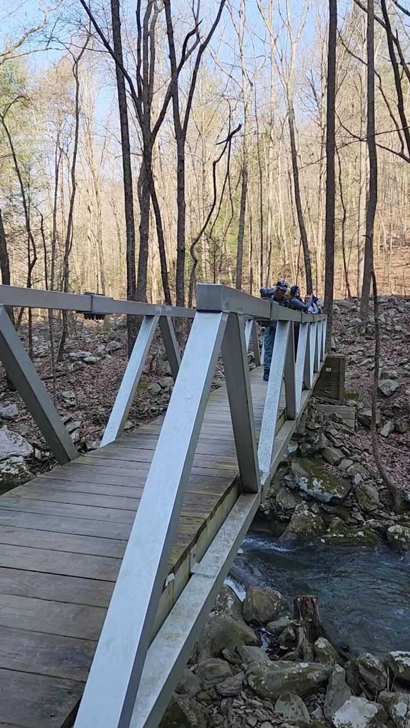 Where Coal Dust Met The Cumberland Plateau