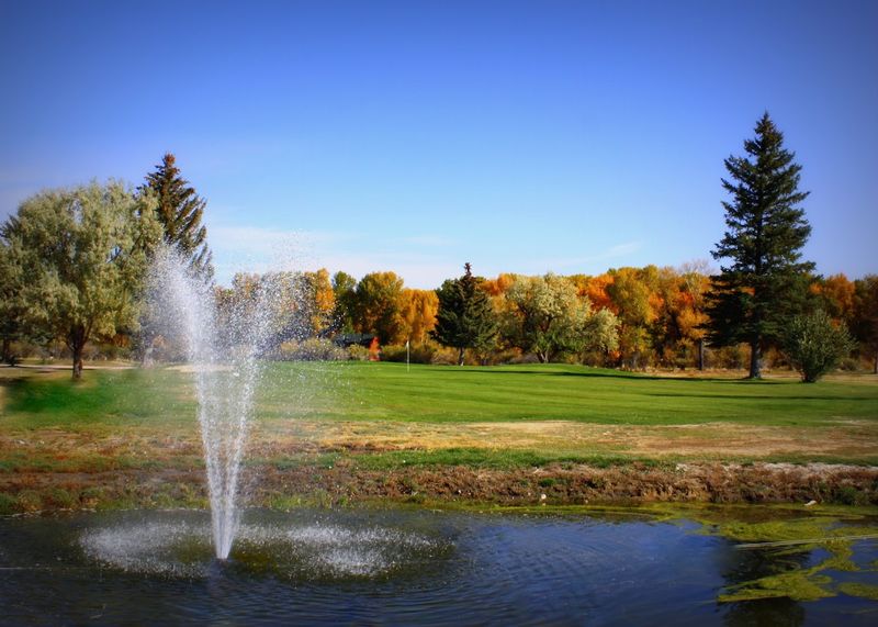 Fairway Views