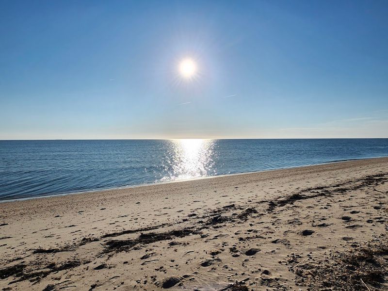 Seasonal Changes Influencing Marine Life Behavior