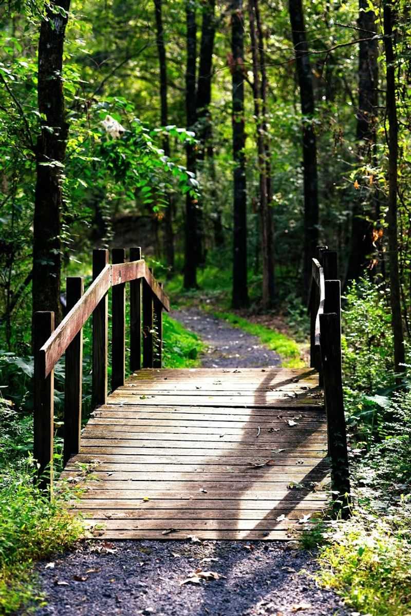Photography Tips For Capturing Beauty