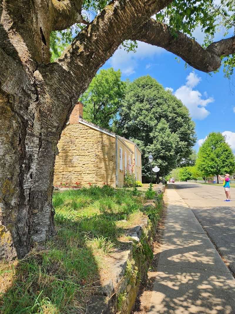 Natural Surroundings And Wildlife Around The Site