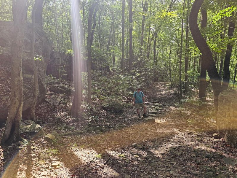The Campsites Sit Off The Main Path To Preserve The Wilderness Feeling