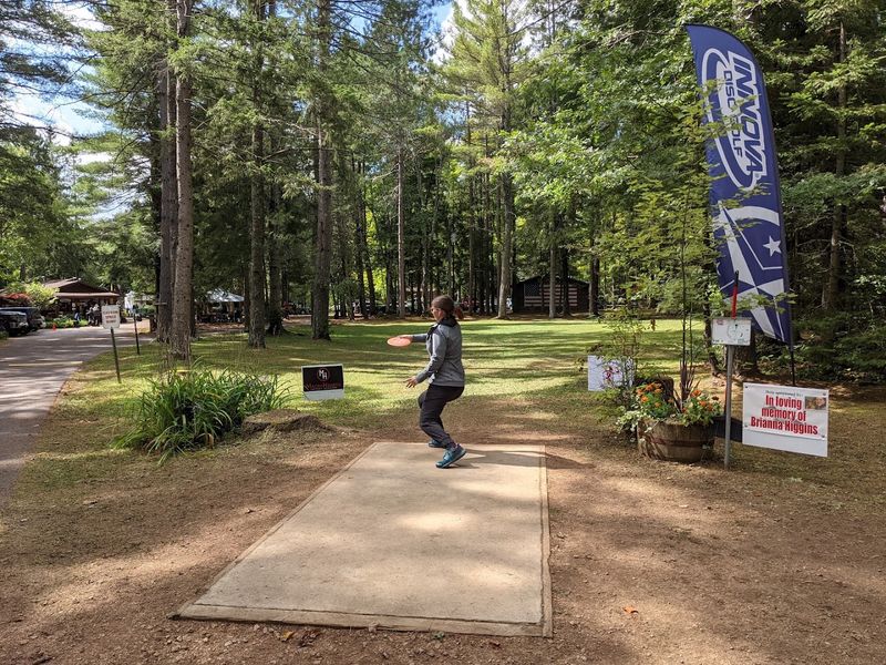 Forest Fairways Reward Accuracy More Than Pure Throwing Power